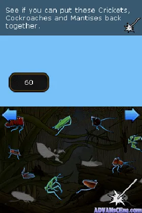 Clever Kids - Creepy Crawlies (Europe) (En,Fr,De,Es,It) screen shot game playing